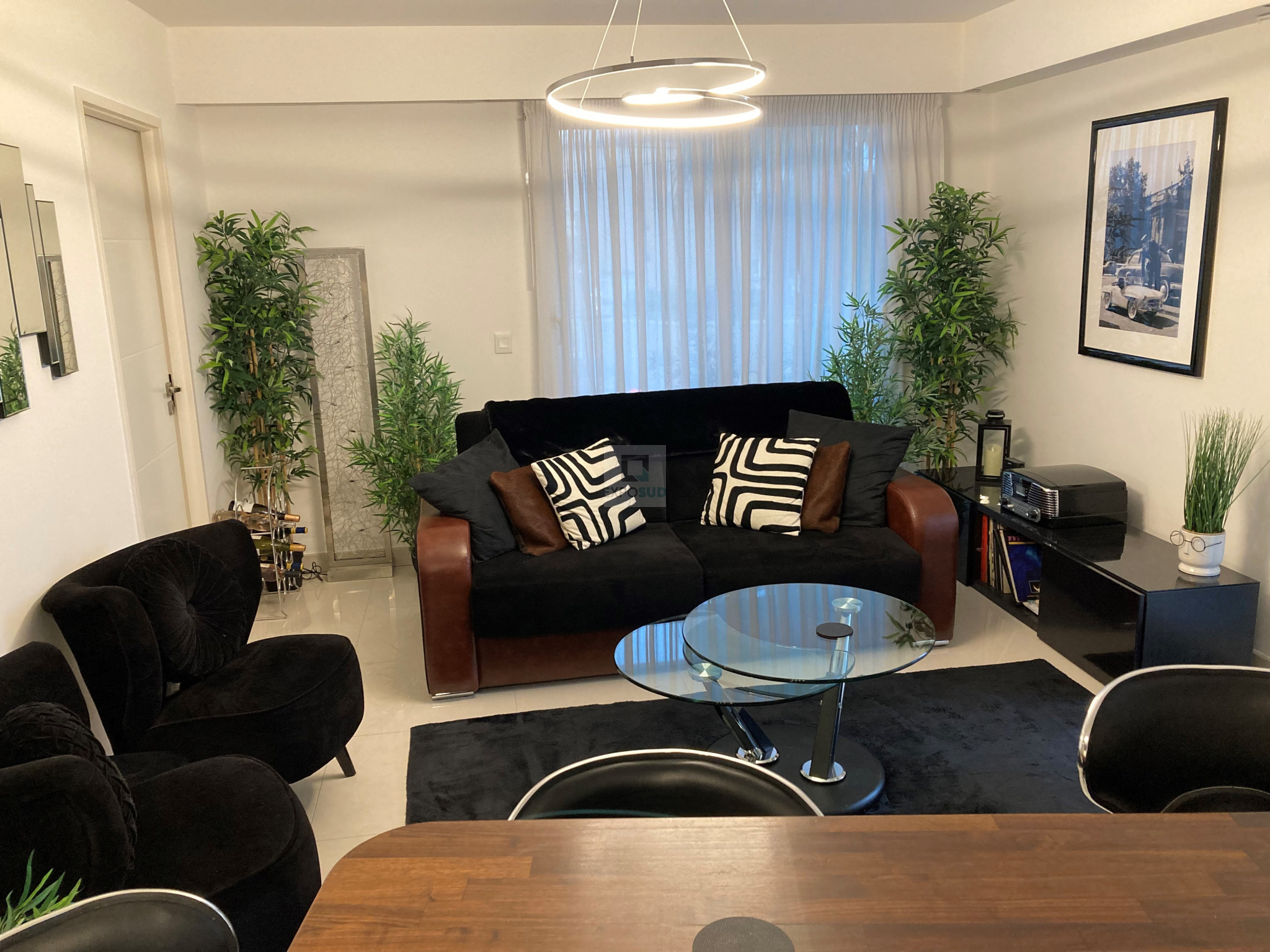 Vente Appartement ANTIBES séjour de 22 m²