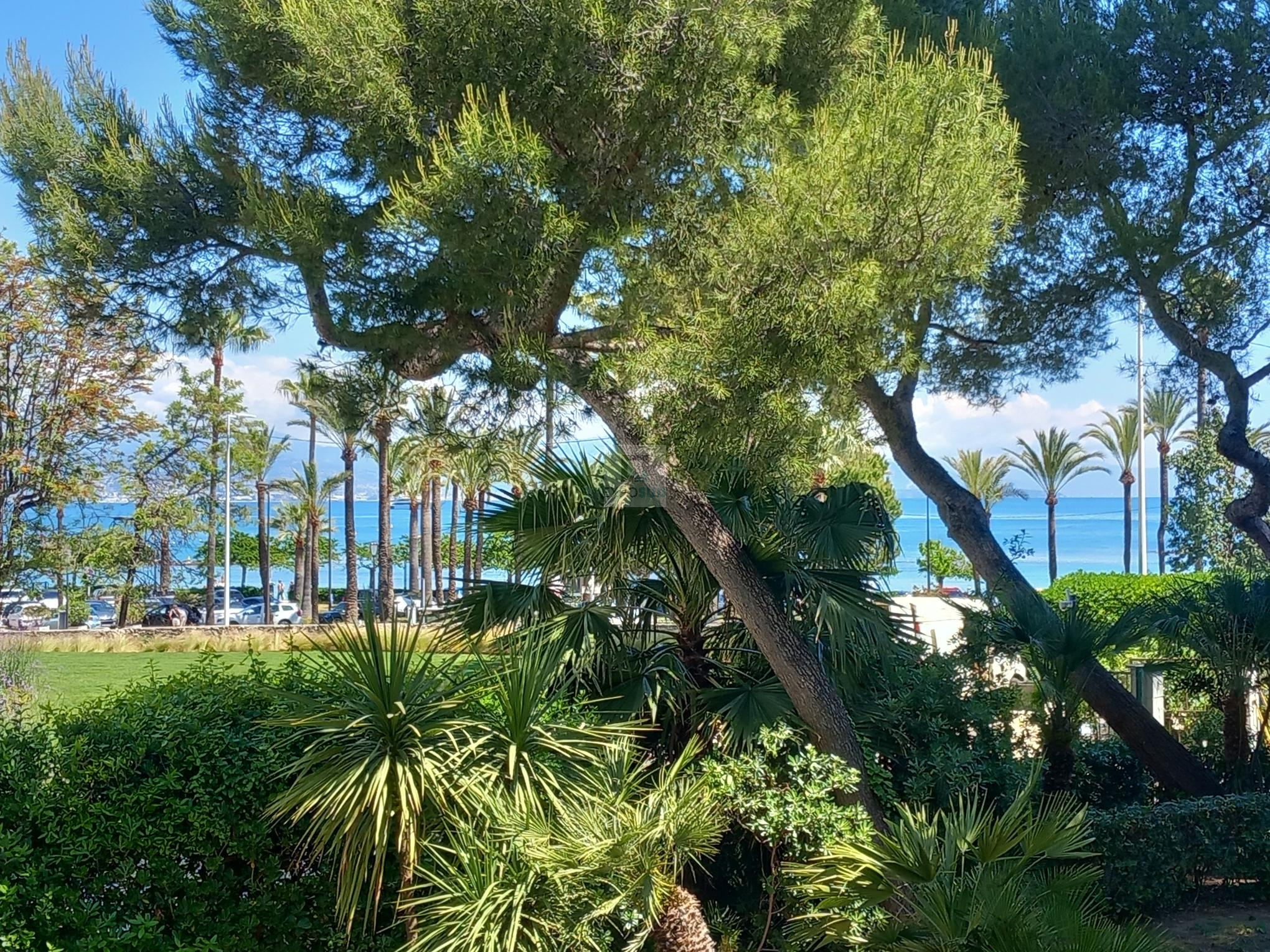 Vente Appartement ANTIBES 1 chambres