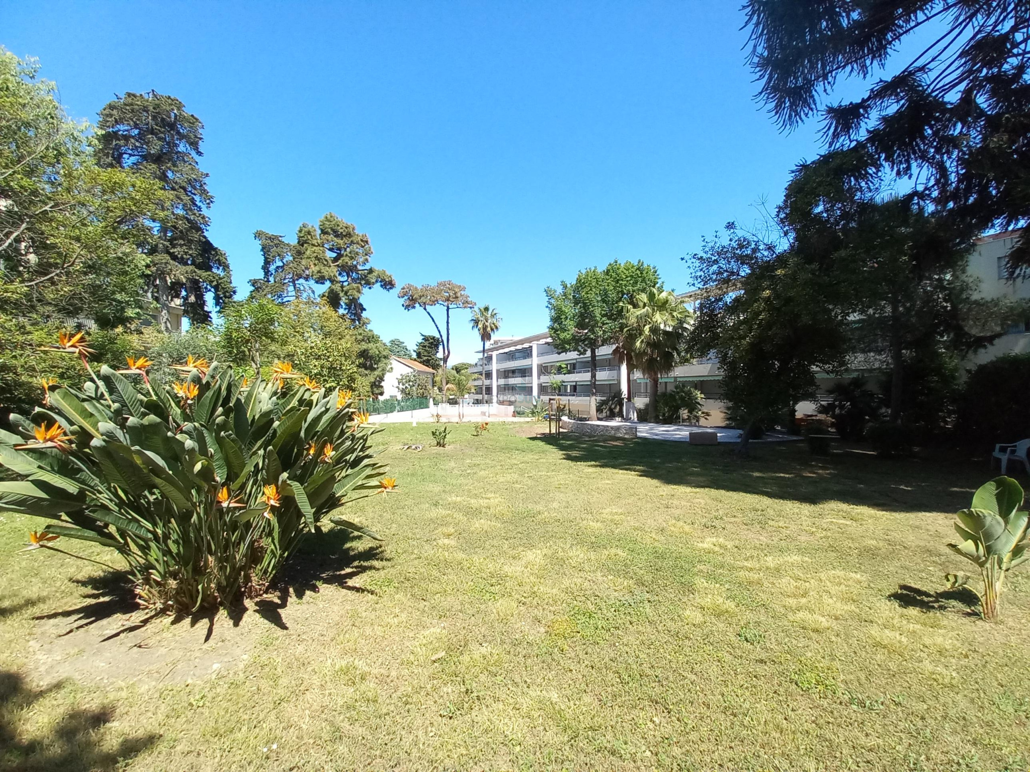 Vente Appartement ANTIBES séjour de 32 m²