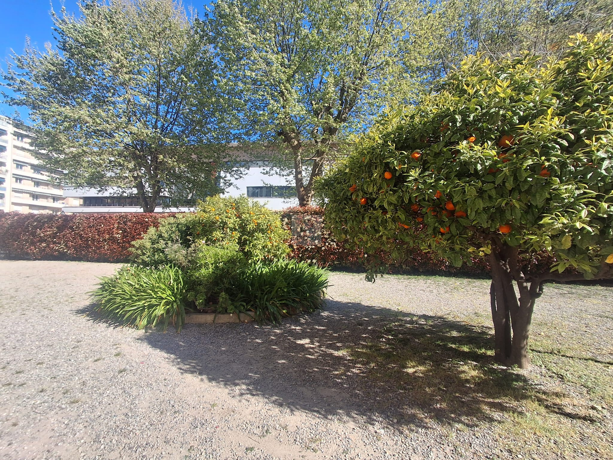 Vente Appartement ANTIBES individuel chauffage