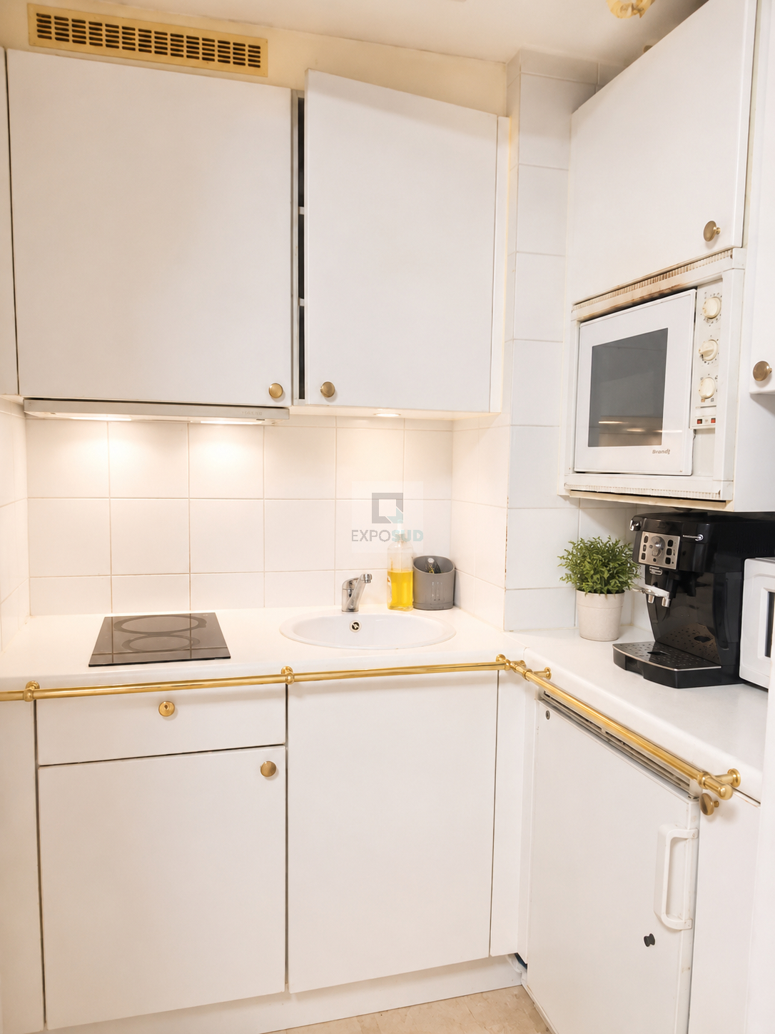 Vente Appartement VALLAURIS américaine équipée cuisine