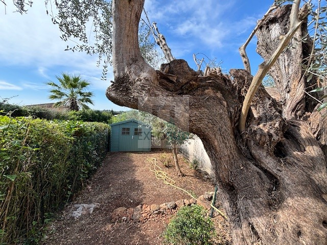 Location Maison BIOT 2 chambres
