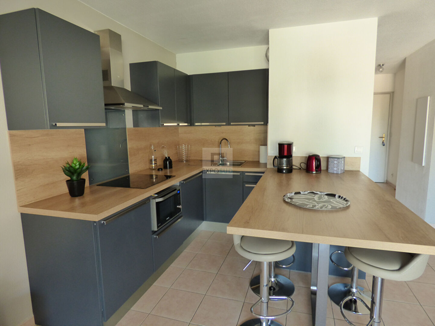Location Appartement ANTIBES américaine équipée cuisine