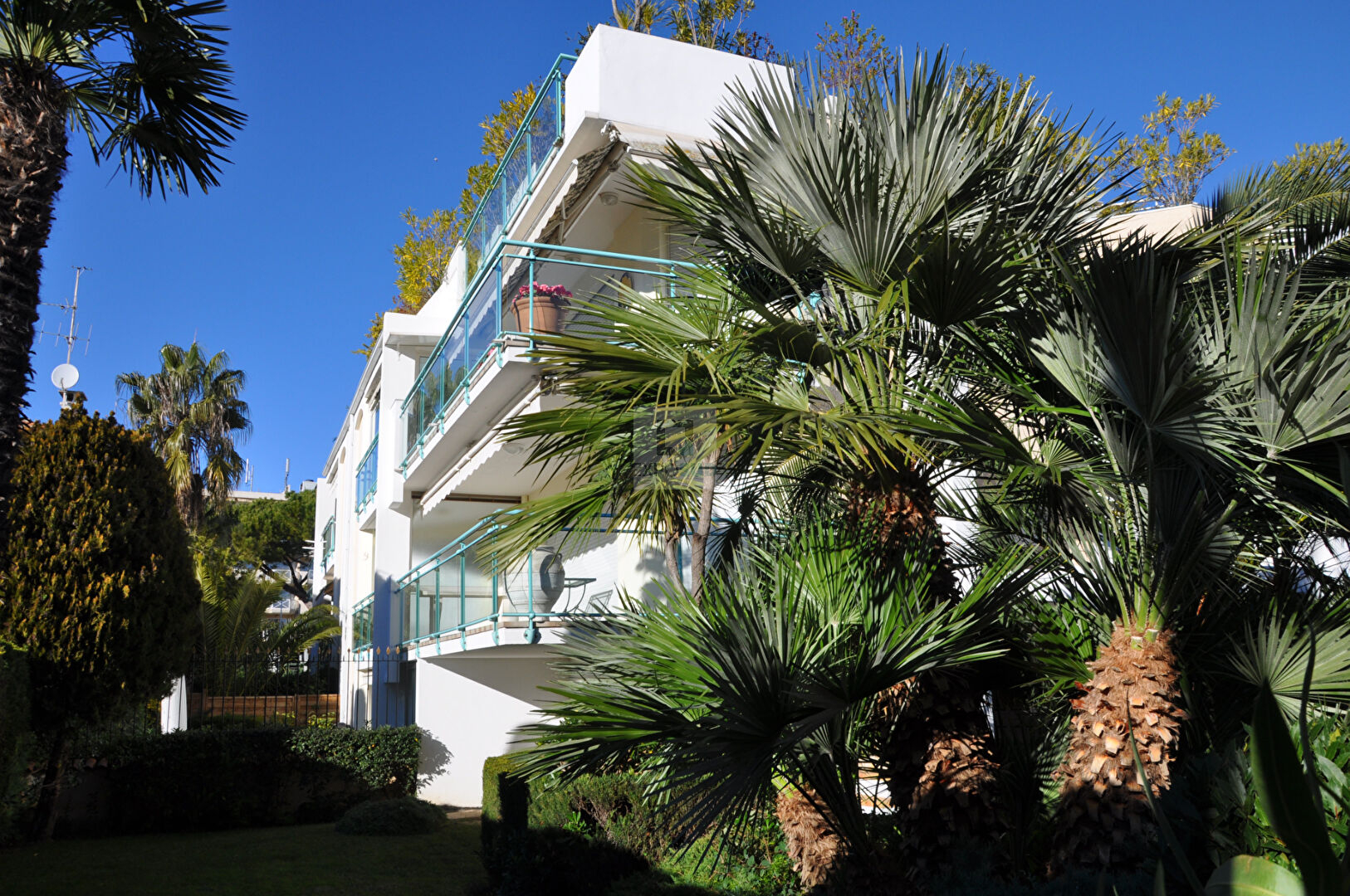 Vente Appartement JUAN LES PINS 1 chambres