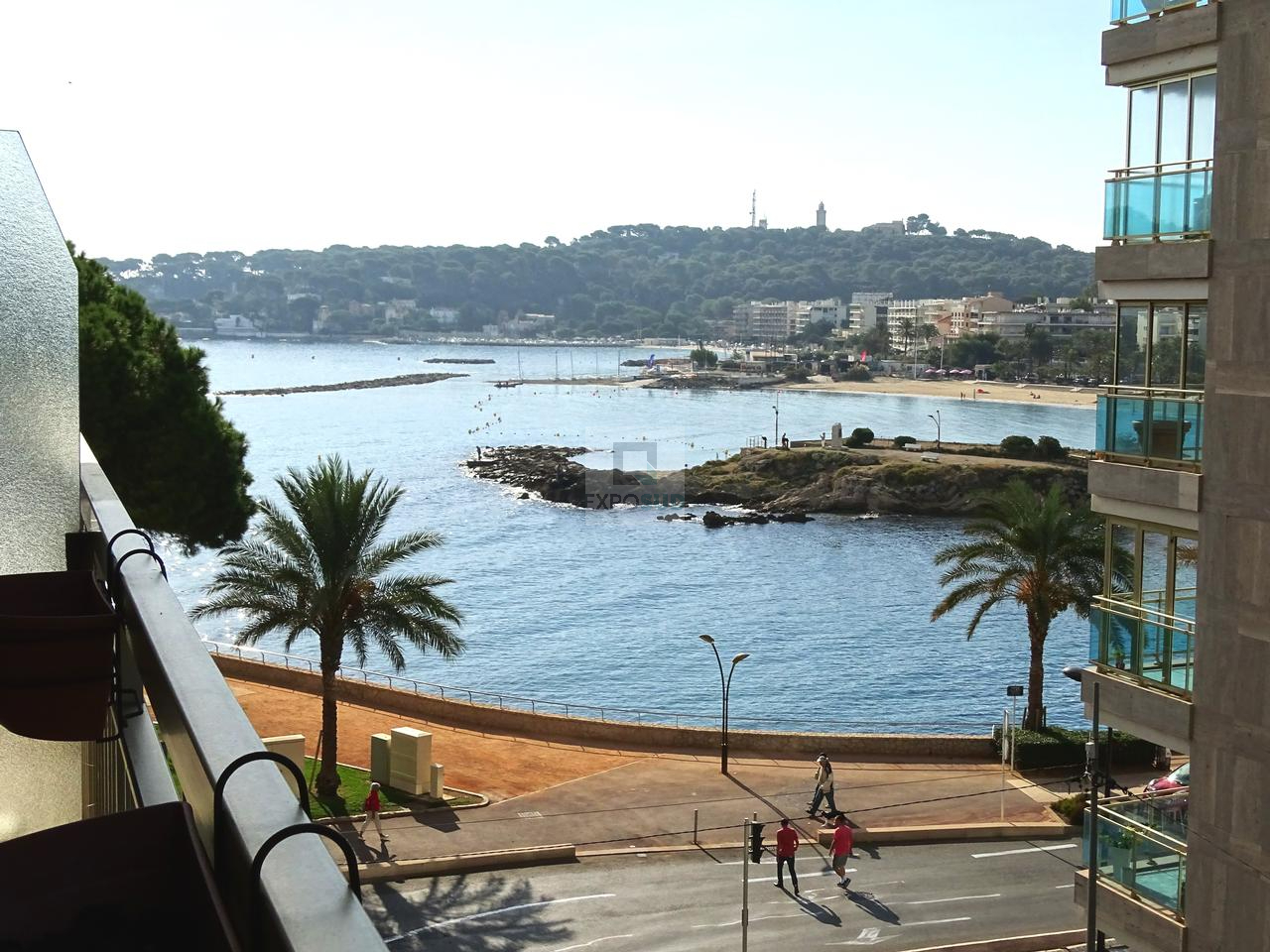 Vente Appartement ANTIBES Mandat : 10202